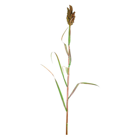 fake sorghum stalk
