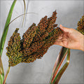 fake plant