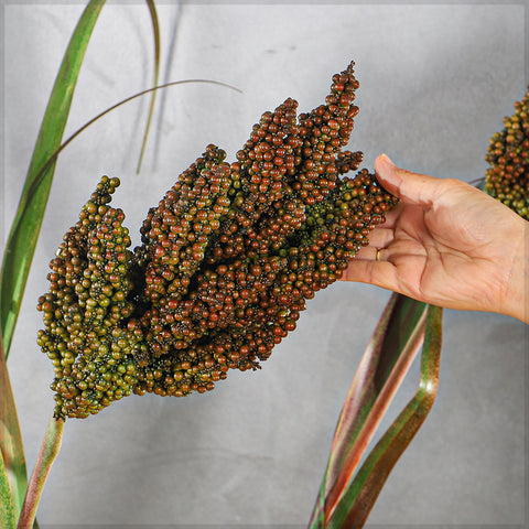 fake plant