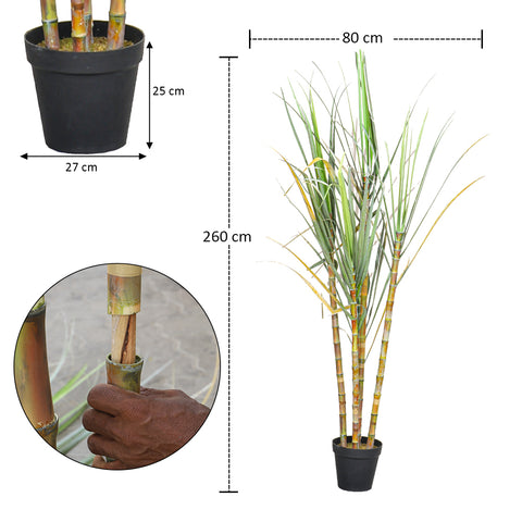 Saccharum Officinarum Sugarcane Artificial Plant