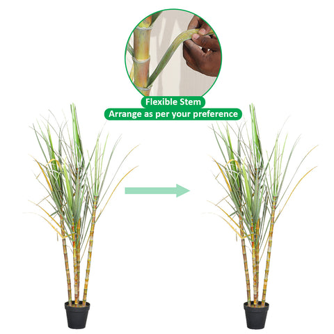Saccharum Officinarum Sugarcane Artificial Plant