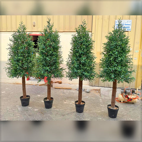 olive plant decor