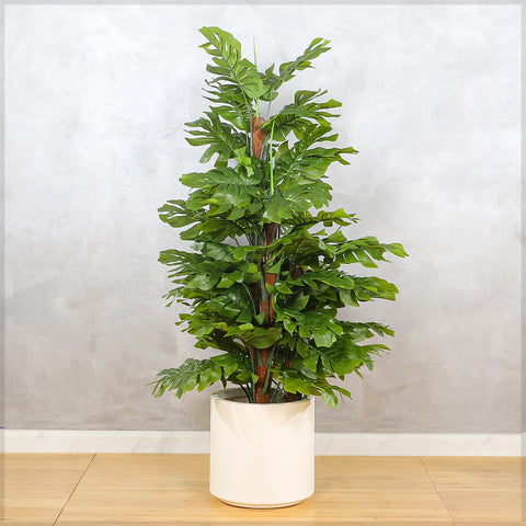 faux monstera plant