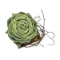 Fake Potted Green Succulent