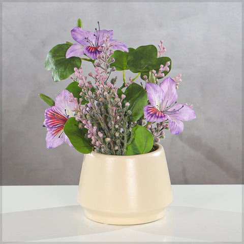 Round Cream  Pattern Ceramic Pot