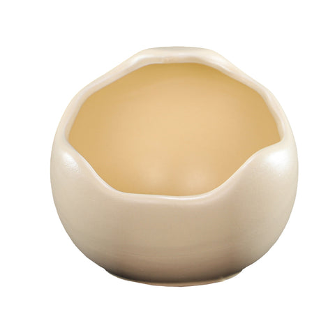 Minimalist Ivory Ceramic Vase