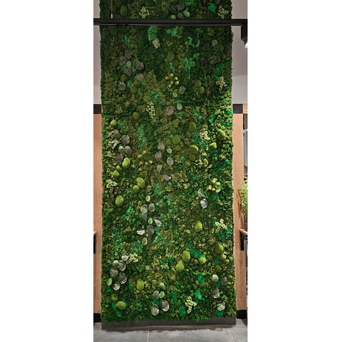 preserved moss wall panel