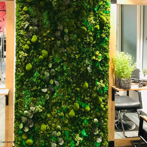 shop fresh moss wall decoration