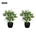 Realistic artificial greenery for home