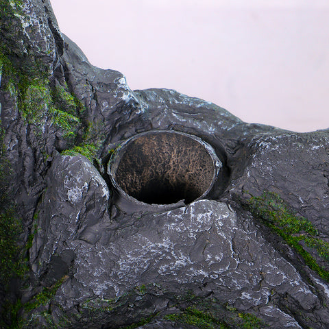 Natural Guilin Rock for Indoor Terrariums
