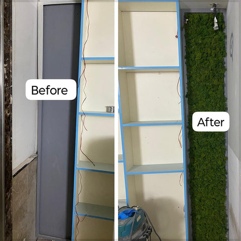 Transformation of a Wall From Bare to Green Oasis for display purposes only (non-sale)