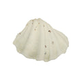 Crafting sea shells