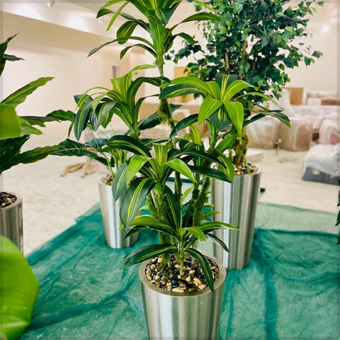 Urban Oasis Green Serenity for display purposes only (non-sale)