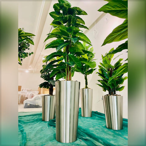Urban Oasis Green Serenity for display purposes only (non-sale)