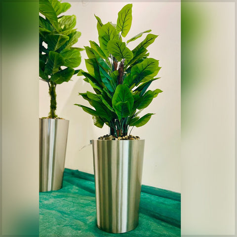 Urban Oasis Green Serenity for display purposes only (non-sale)