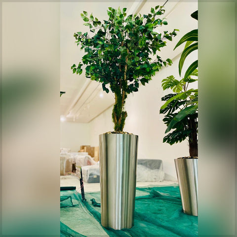 Urban Oasis Green Serenity for display purposes only (non-sale)