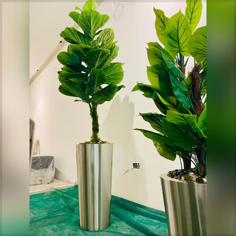 Urban Oasis Green Serenity for display purposes only (non-sale)