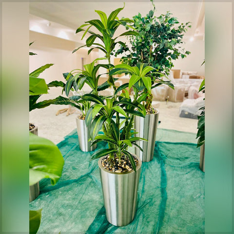 Urban Oasis Green Serenity for display purposes only (non-sale)
