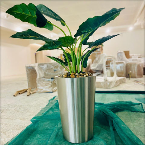 Urban Oasis Green Serenity for display purposes only (non-sale)