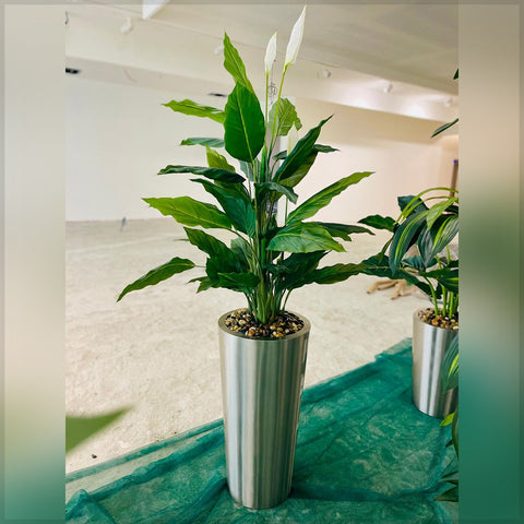 Urban Oasis Green Serenity for display purposes only (non-sale)