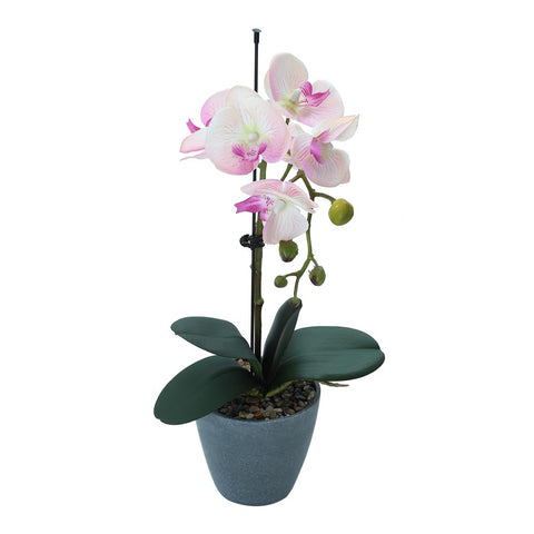 Faux white orchid
