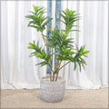 Decorative round concrete planter for outdoor