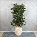 Elegant European design concrete planter