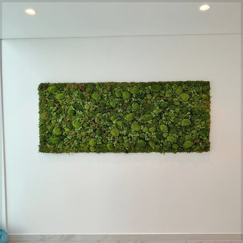 Vertical Moss Wall Art for Modern Interiors  for display purposes only (non-sale)