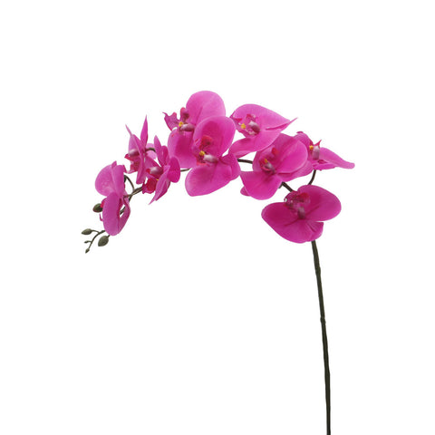 Real touch orchids