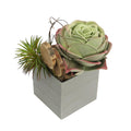 Green Faux Succulent