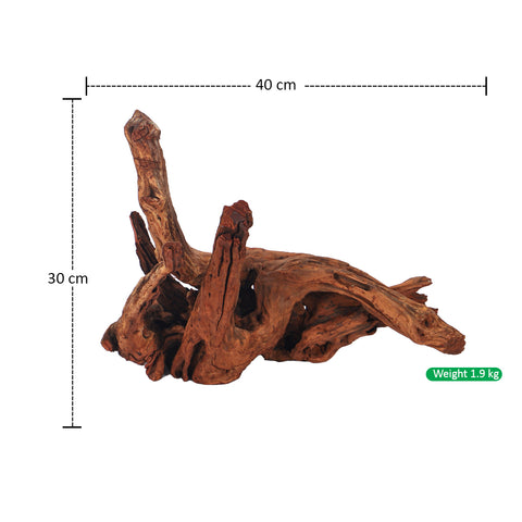 Natural Driftwood For Decoration
