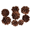 dried pine cones for decor