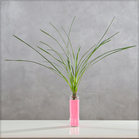 Artificial Grass Plant(without vase)