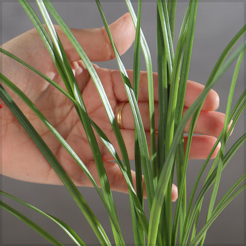 Artificial Grass Plant(without vase)