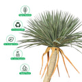 Faux plant tall