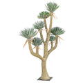 decorative dracaena draco