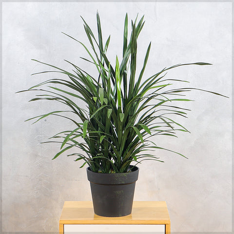 Potted Artificial Grass Plant 75cm Tall
