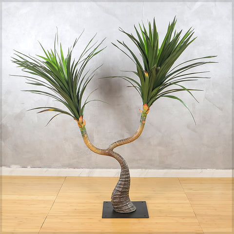 Mini Desert Yucca Plant