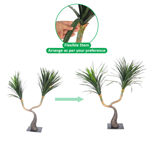 Mini Desert Yucca Plant