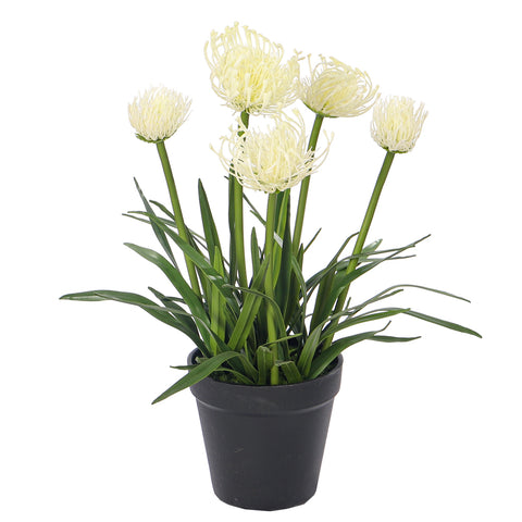 Artificial  Faux Pincushion Flower Plant