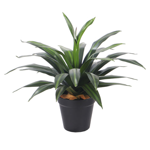 Artificial Dracaena Plants with Pot