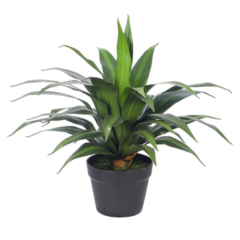 Artificial Dracaena Plants with Pot