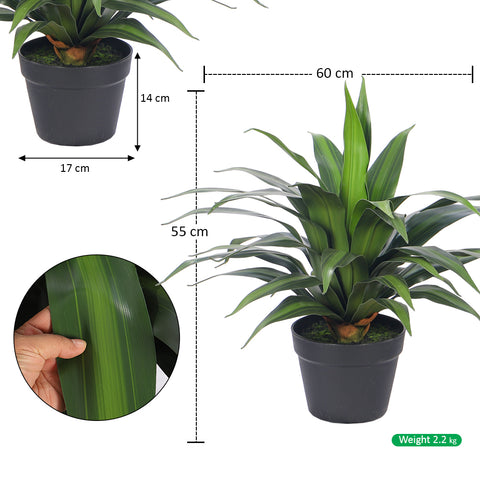 Artificial Dracaena Plants with Pot