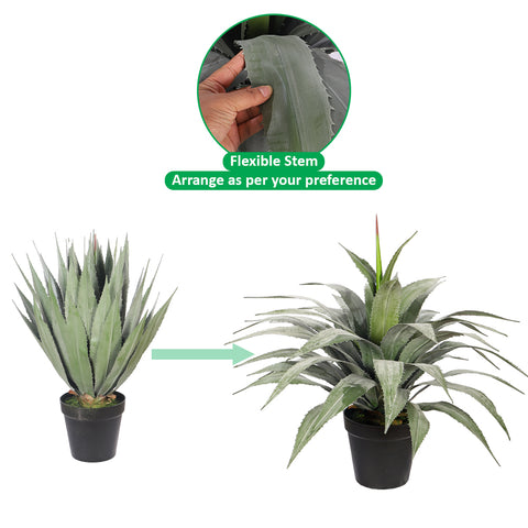 Nearly Natural Agave Plant