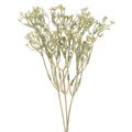 Decorative sedum flower bunch