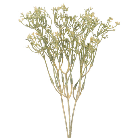 Decorative sedum flower bunch