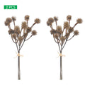 Decorative sycamore fruit bundle