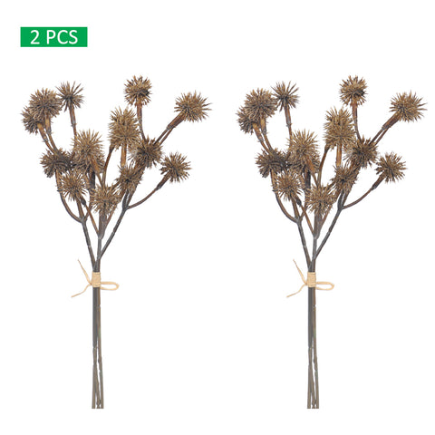 Decorative sycamore fruit bundle