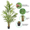 faux alsophila fern