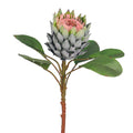 realistic king protea stem